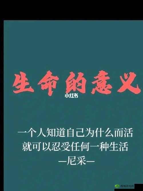 子神代表什么:探究其背后蕴含的深刻意义与价值所在