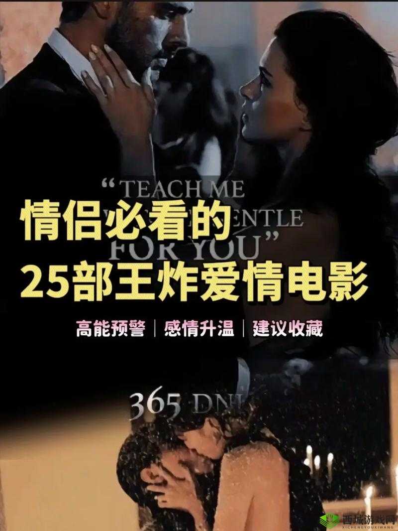 夫妻必看的爱情电视剧：每晚共享浪漫时光