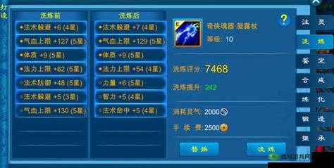 苍穹之剑2宠物洗髓全攻略,揭秘变异奥秘