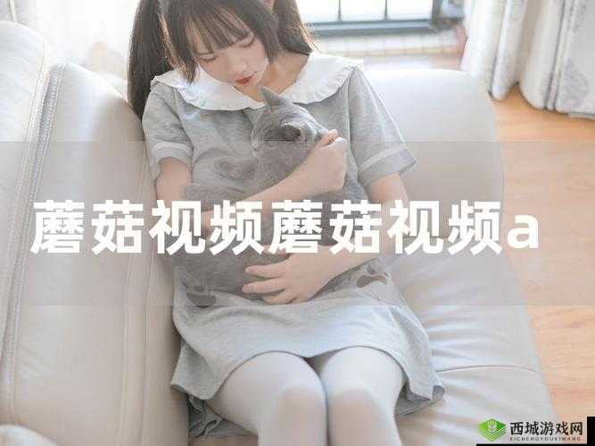 老版蘑菇短视频免费安装包在哪:探寻其具体获取途径与方法