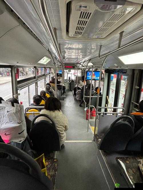 公交车最后一排:人性的修罗场