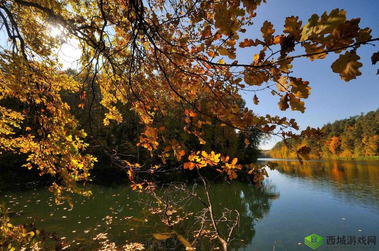 费爵娜拍的精彩视频:独特视角呈现别样魅力