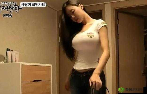 日韩高清成人有码:探索激情与魅力的视觉盛宴