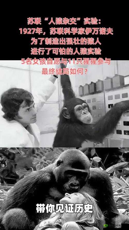 杂交 BUCSM 人类 SSBA 被爆料完全免费:是真是假?