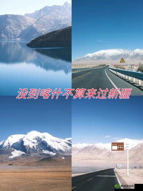 久久 99 久久久久:一段令人难以忘怀的精彩历程