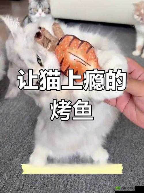 就喜欢听你叫 1V1 烤鱼猫:独特的魅力与吸引力