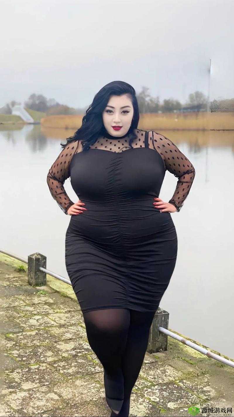 凹凸女 BBWBBWBBWBBW:丰满魅力的独特之美