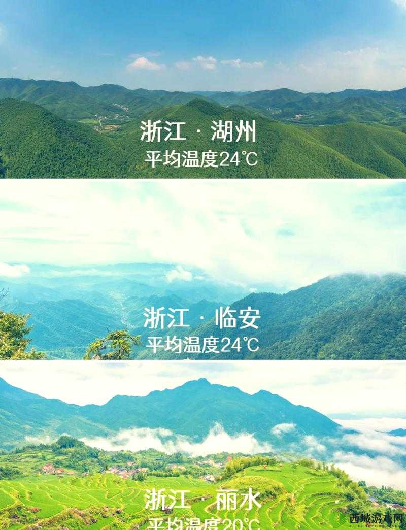 伊春园 2023 入口直达:带你畅享精彩世界