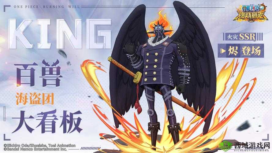 航海王燃烧意志首测人物大全，SSR角色深度剖析
