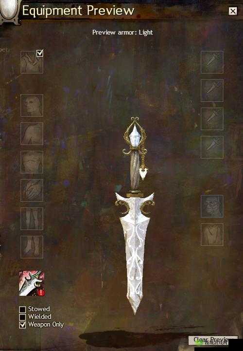 激战 2 野外传护外观:独特魅力与精彩细节解析