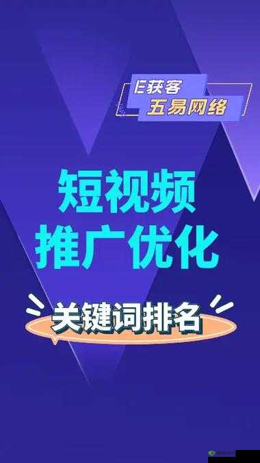 seo 短视频网页入口网站推广系统迎来新升级:以粉丝为中心再出发
