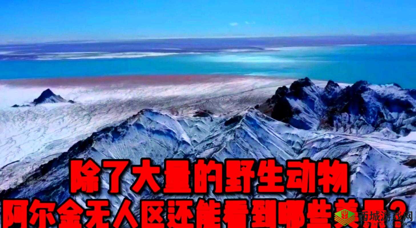 国产无人区一卡 2 卡三卡 4 卡仙:探索神秘无人区的奇幻之旅
