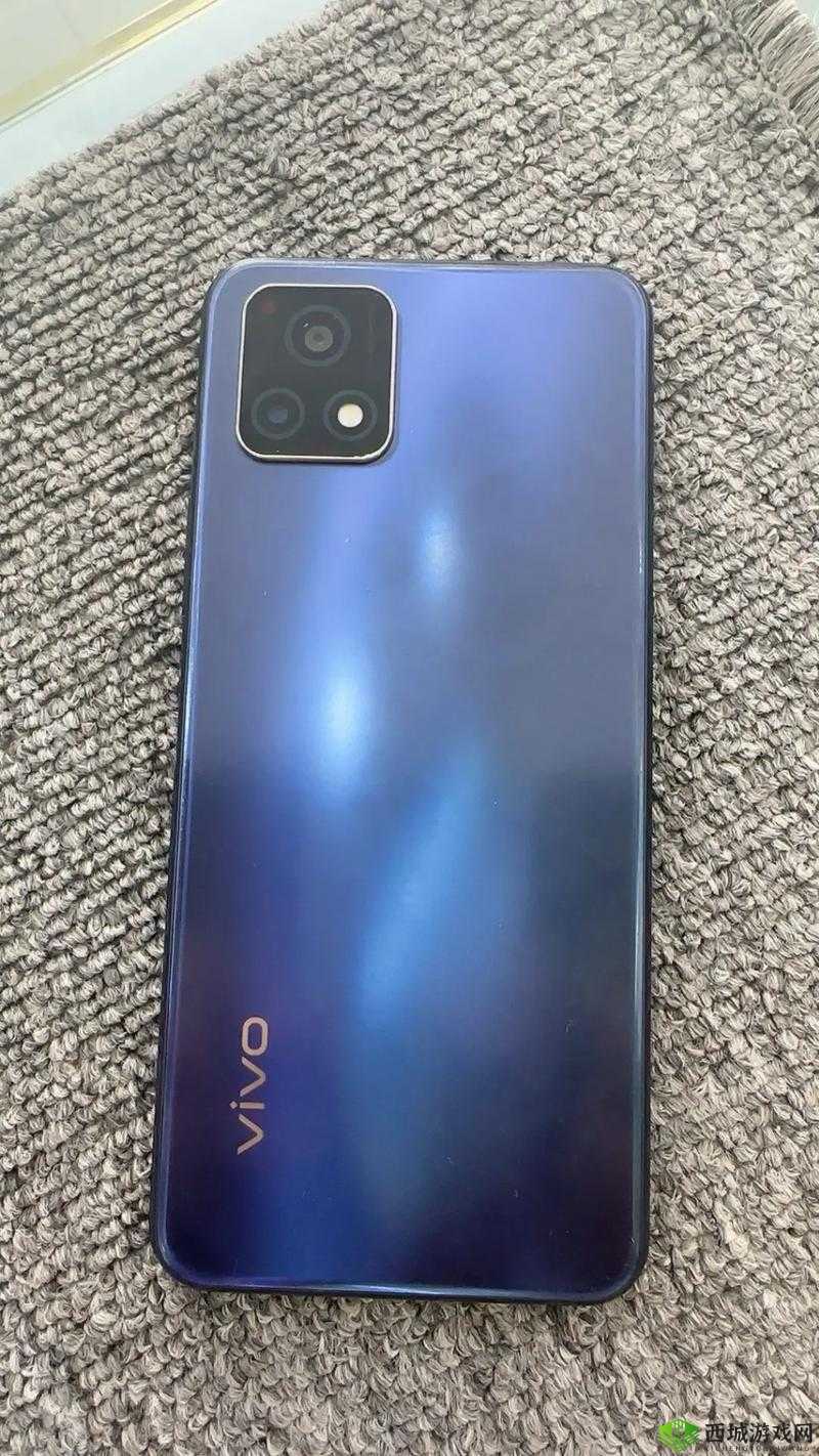 成色好的 Y31-品质卓越性能佳的超值之选