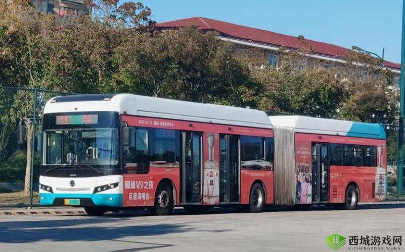 坐公交车被 C 车一摇一摇的:这段独特经历令人难忘