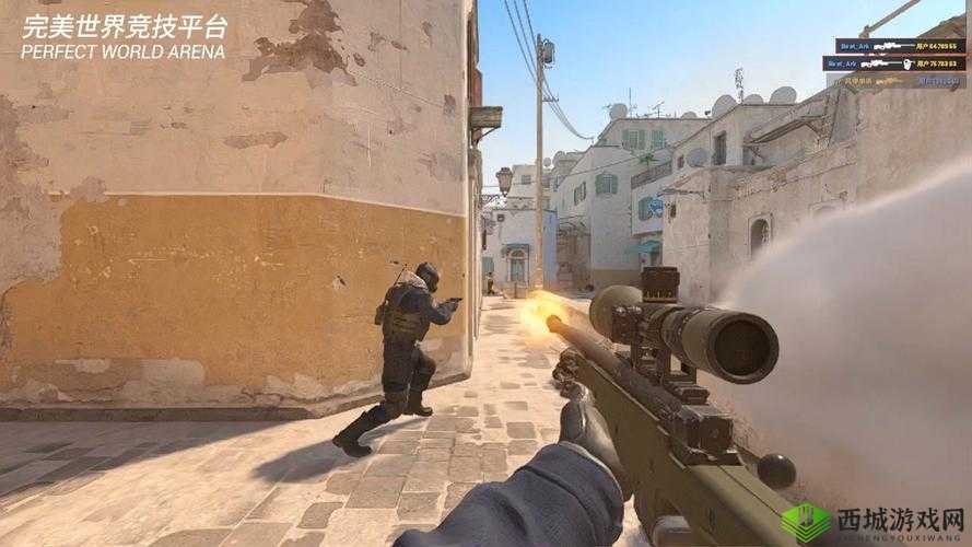 高清大片 csgo:枪林弹雨的巅峰对决