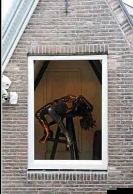 性荷兰在当今世界:全面解析其社会经济与文化特征