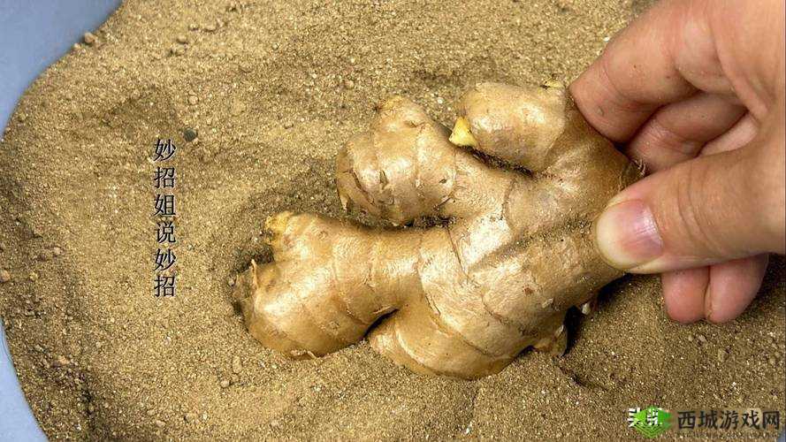 因不吃姜被罚竟需夹一年生姜:奇特遭遇引发关注