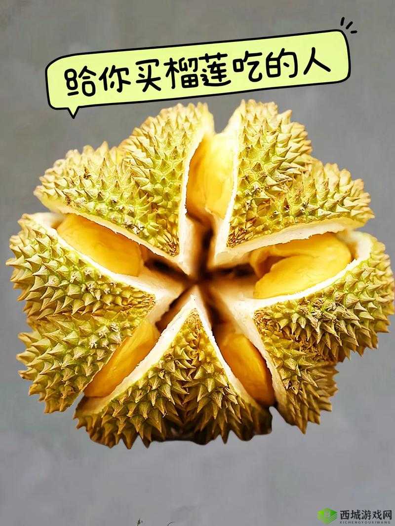 ll999 榴莲:极致美味让你流连忘返回味无穷
