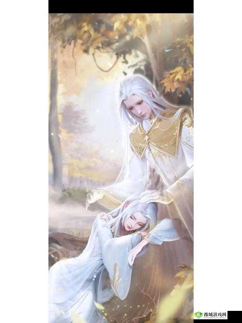 云裳羽衣,织梦之旅的华章