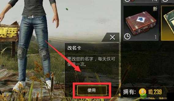 绝地求生刺激战场名字难听怎么办?改名方法分享
