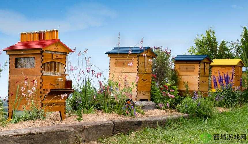 废土危行蜂箱获取与生存工具合成技巧,资源管理的艺术