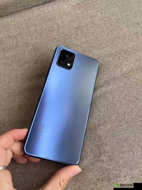 成色好的 Y31 迎来全面升级:品质再进阶