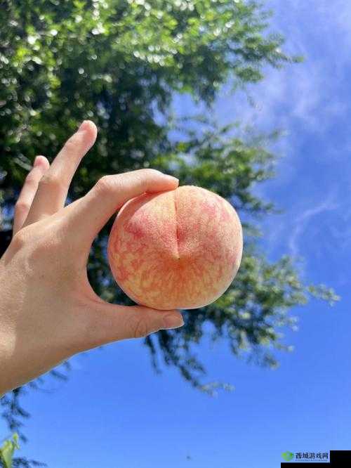 健身蜜汁扣肉水蜜桃,吃了就会爱上的美味