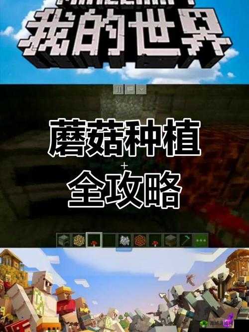 暴躁老外玩 minecraft 蘑菇支持用户在线评论：用户成为游戏主角