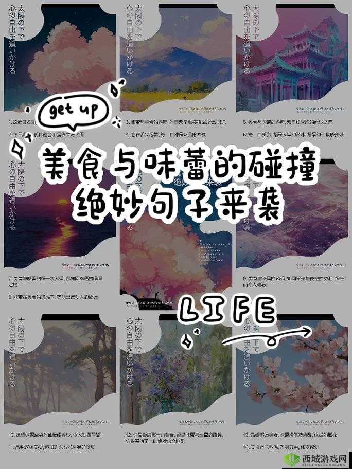 美食与契约,探索味蕾与灵魂的深度联结