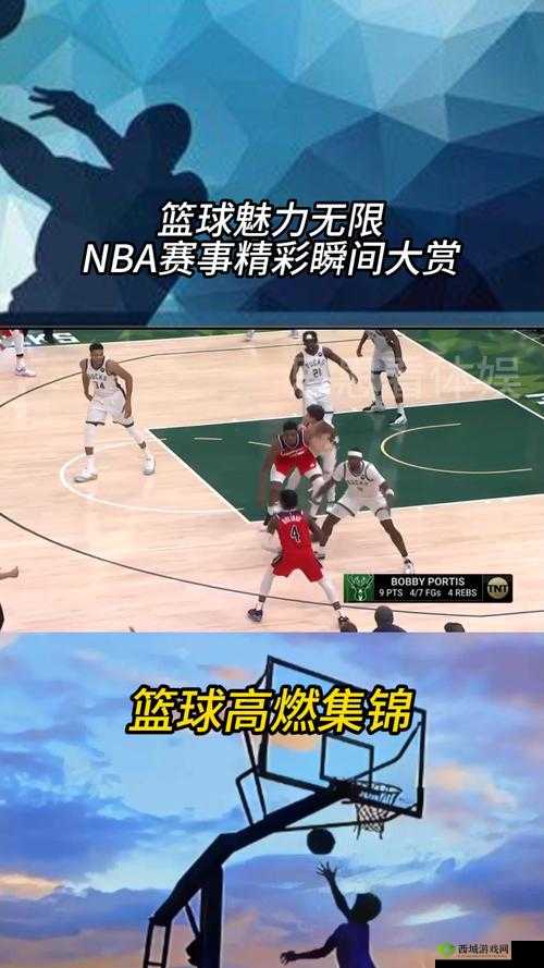鲸鱼视频免费观看高清版 NBA 精彩赛事不容错过