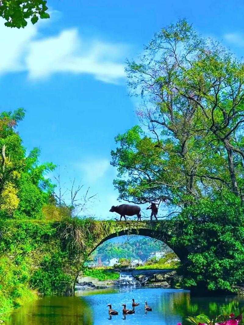 楚留香2月11日打坐秘境,云梦杏林居的坐观万象之旅