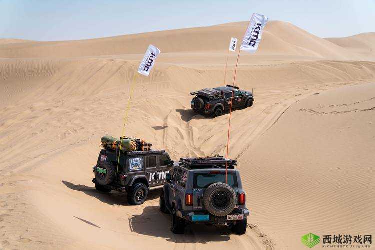 欧洲无人区码 SUV:探索神秘无人区的极致座驾