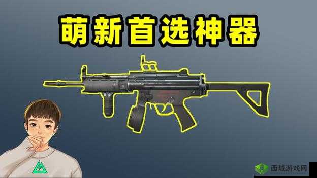 终结者2审判日新冲锋枪Vector和MP5哪个好,资源管理深度解析