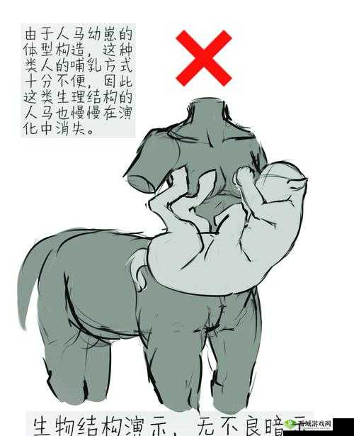 人马一级 Q 要多久人马:深入探讨其冷却时间与实战影响