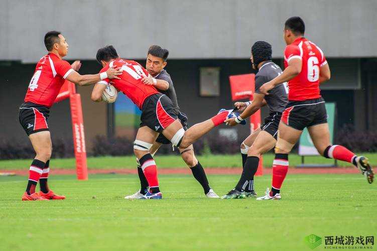 放学别跑橄榄球赛怎么玩，规则介绍在资源管理中的重要性及高效应用