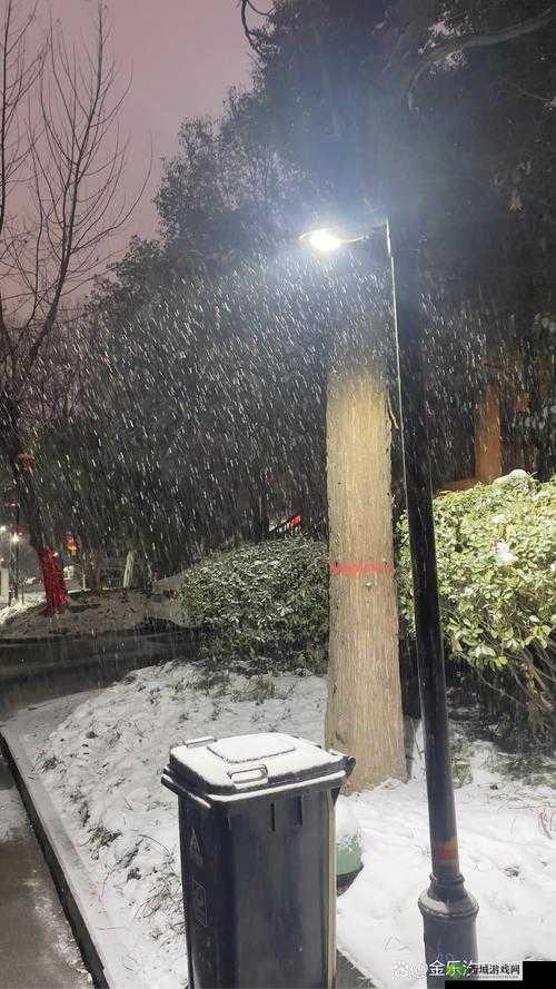 凌晨三点播放的视频叫什么配图:探寻深夜影像背后的秘密