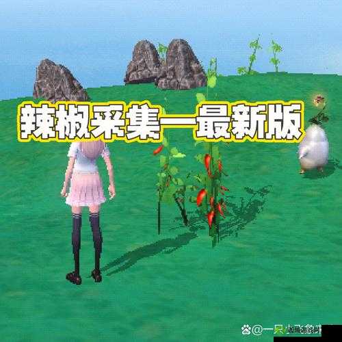 创造与魔法朝天椒位置详解,极乐岛与月琴岛的探险指南