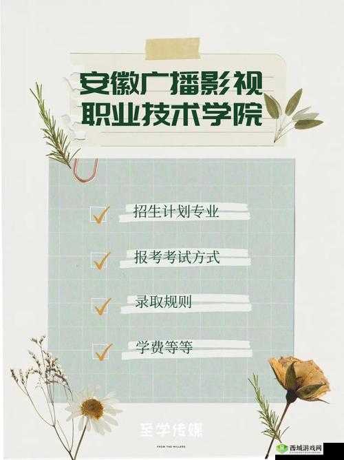 天美影视传媒广告制作流程:策划、拍摄、剪辑、特效、配音、审核