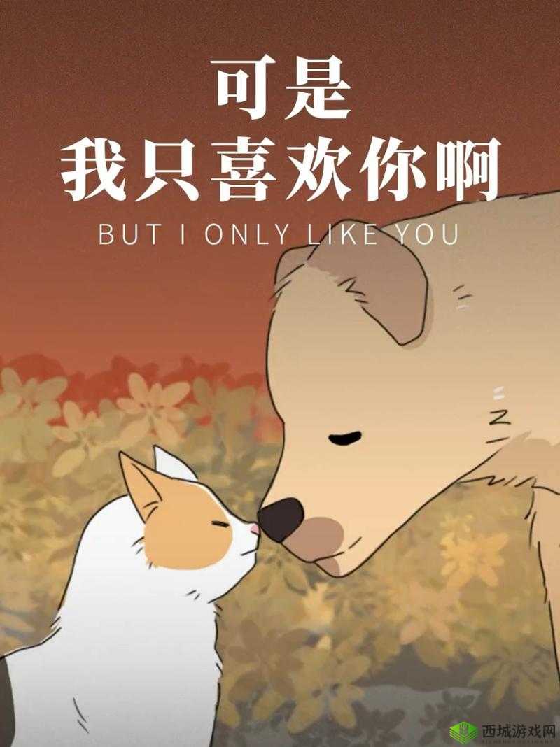 我只喜欢你 11H:一个关于爱情的美好故事