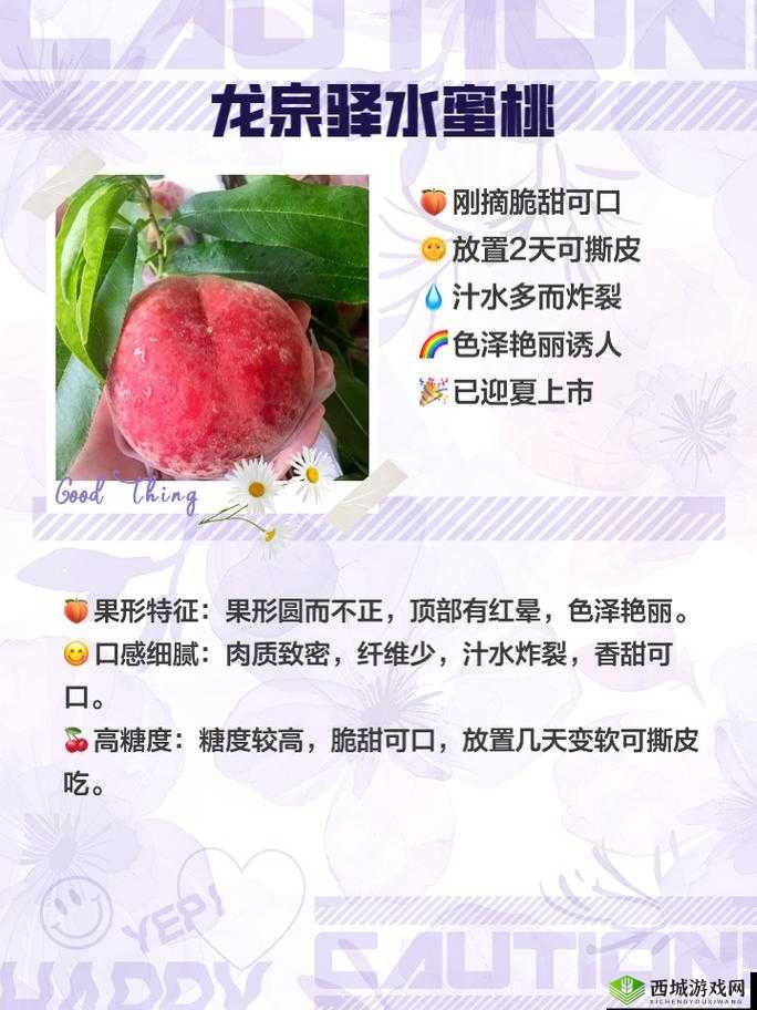 日本水蜜桃品种岭风:甜蜜多汁的夏日之选