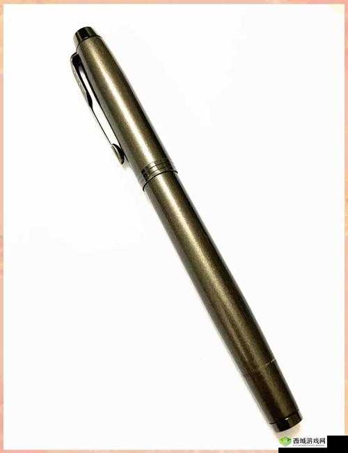 13 岁能放几个笔-关于 13 岁放笔数量的深入探讨与研究