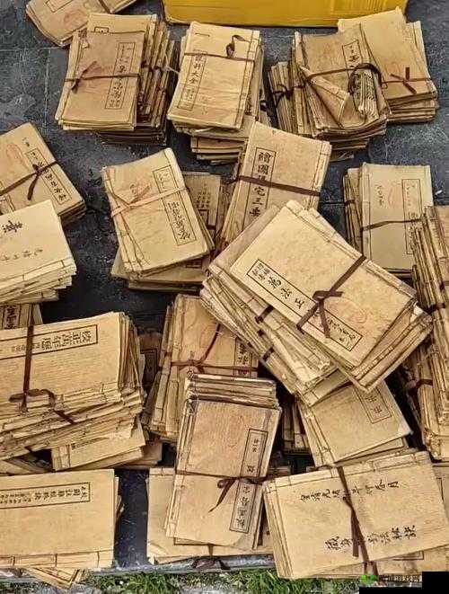 一段失传已久的武林秘籍引发的爱恨情仇