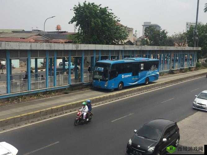 小扫货水叫不出来最简单公交车上:一段令人费解的乘车经历