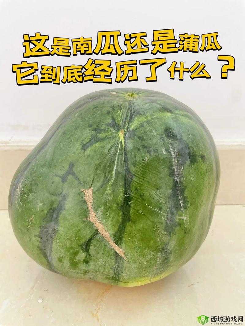 51 今日大瓜：热门大瓜往期内容，精彩不断，不容错过