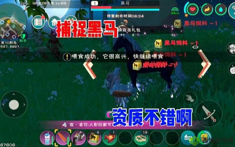 探索创造与魔法中的奇幻之旅,捕捉黑马的艺术