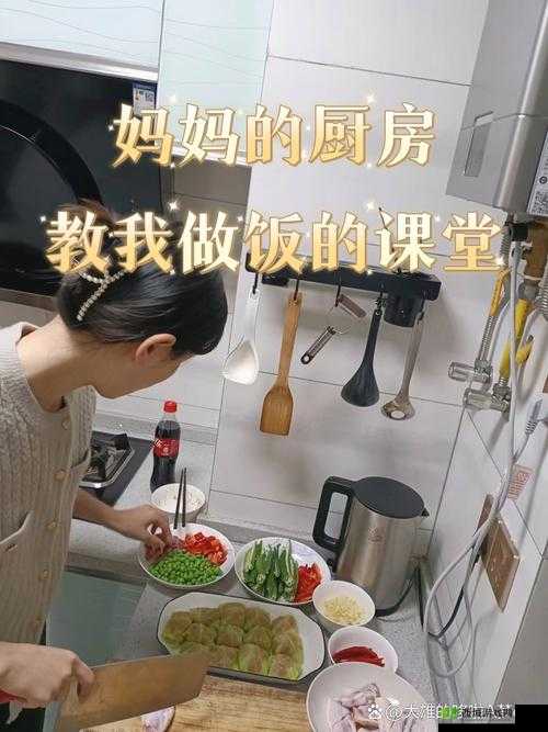 从厨房一路做到客厅:见证家务劳动的漫长征程