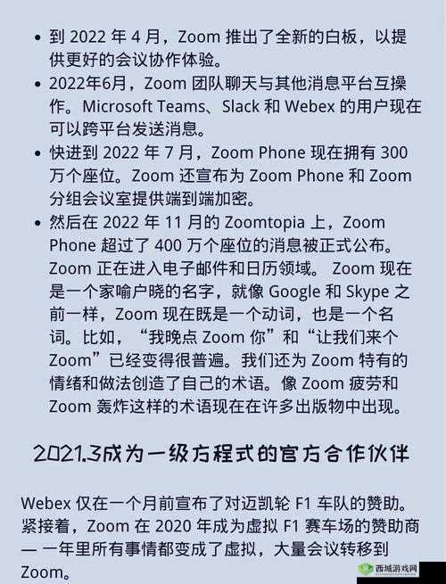 国内 Zoom 人与 Zoom :探究其在数字化时代的独特作用