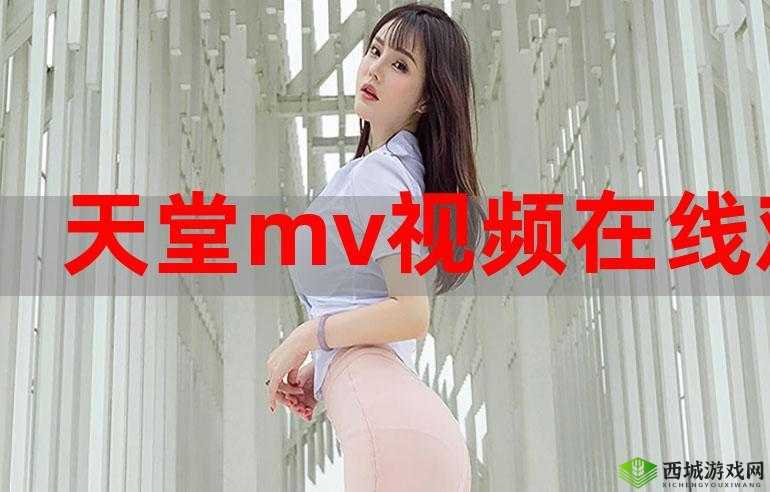 欧美 MV 日韩 MV 最火的一句详解之深度剖析与全面解读