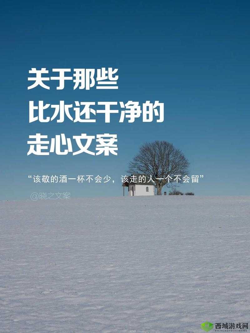 此生相许高干晓之水:一段感人至深的爱情故事就此展开