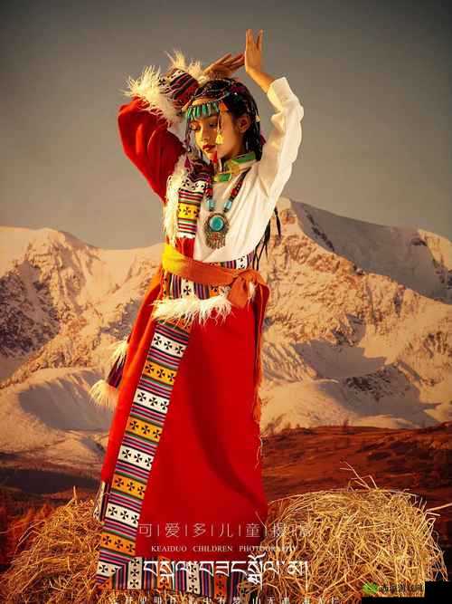 鼓蓬蓬的牦户之乐:探索藏地风情的神秘面纱